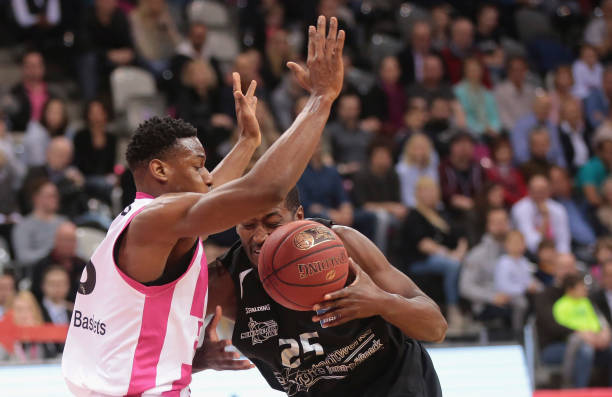 杨鸣办签证 杨鸣办签证